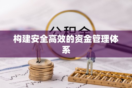 海兴构建安全高效的资金管理体系