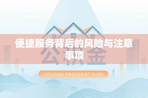 海兴便捷服务背后的风险与注意事项