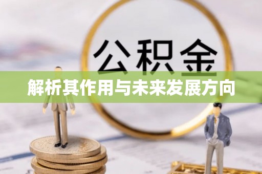 海兴解析其作用与未来发展方向